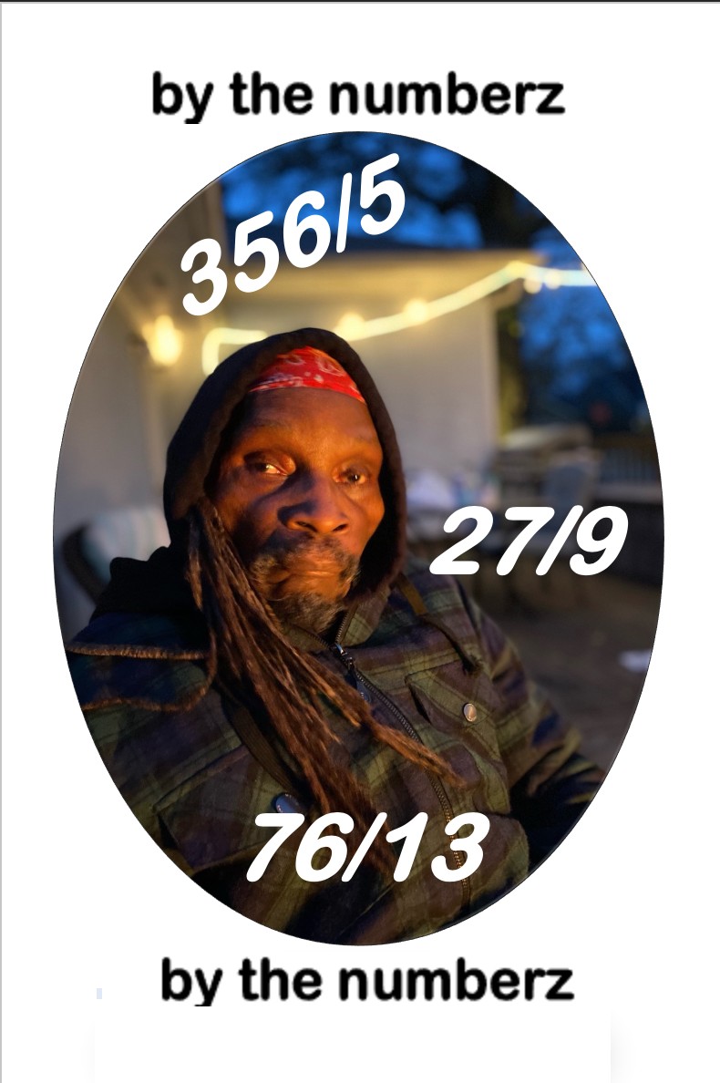 by the numberz book cover