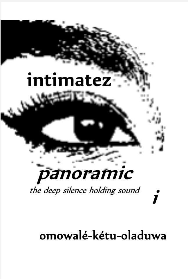 intimatez panoramic i / the deep silence connecting soundz book cover