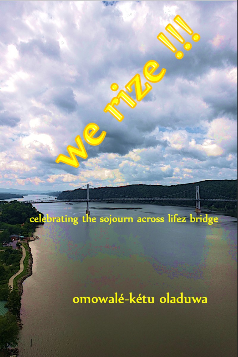 we rize book cover