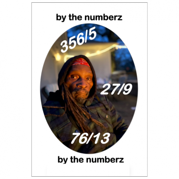 by the numberz